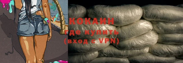 прущие грибы Вязники