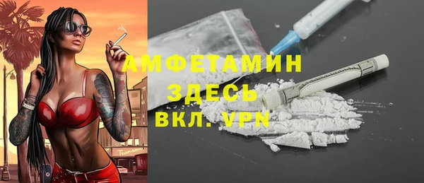 прущие грибы Вязники
