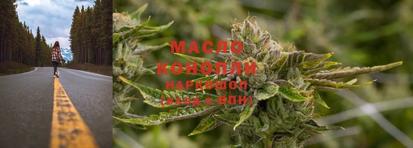 прущие грибы Вязники
