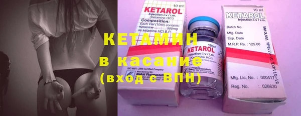 прущие грибы Вязники