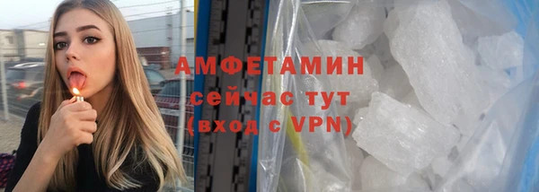 прущие грибы Вязники