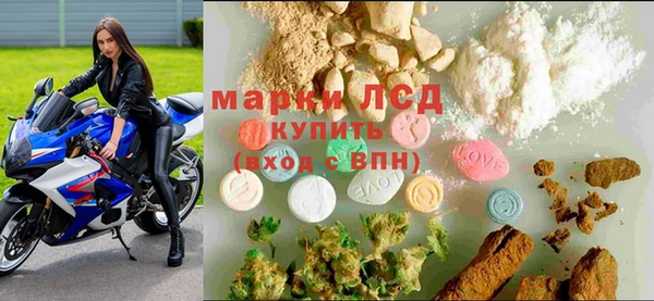 ПСИЛОЦИБИНОВЫЕ ГРИБЫ Вязьма