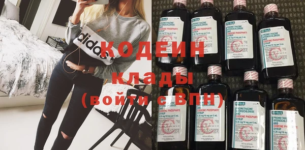прущие грибы Вязники