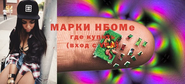 прущие грибы Вязники