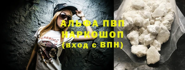 прущие грибы Вязники