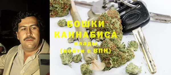 прущие грибы Вязники