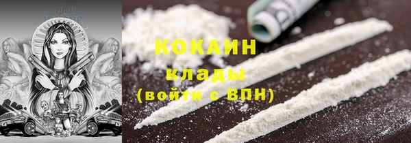 ПСИЛОЦИБИНОВЫЕ ГРИБЫ Вязьма