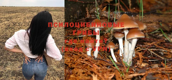 каннабис Вяземский